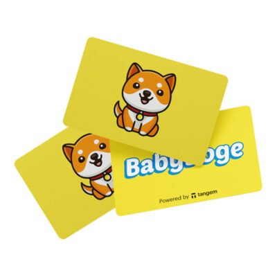 Portfel kryptowalutowy Tangem 2.0 x BabyDoge Wallet zestaw 3 kart (TG-BabyDoge)