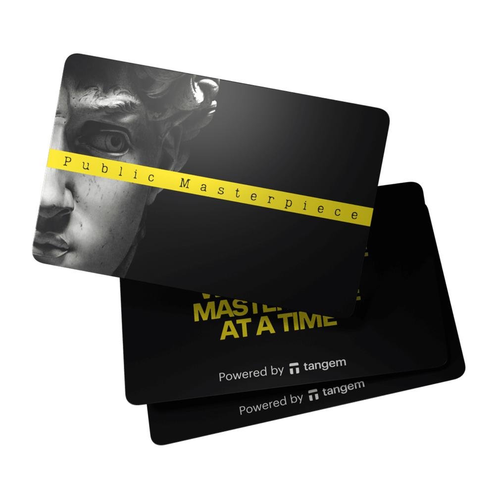 Portfel kryptowalutowy Tangem 2.0 x Public Materpiece Wallet zestaw 3 kart (TG-PMASTER) 2 Portfel kryptowalutowy Tangem 2.0 x Public Materpiece Wallet zestaw 3 kart (TG-PMASTER) 2